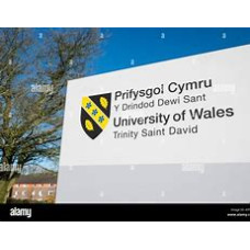 International Business (Full-time) (MBA)